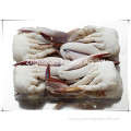 fresh frozen crab for sale